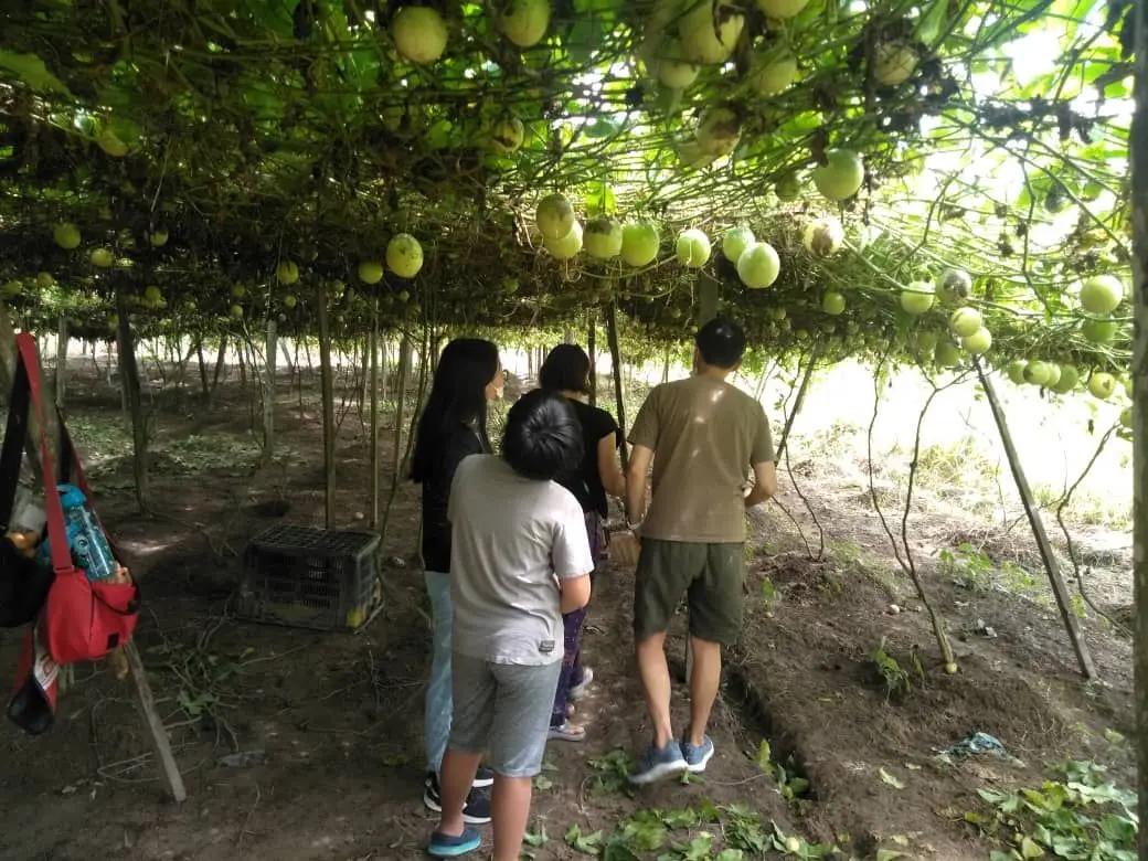 One Day Sungai Rengit, Desaru Fruits Farm and Lobster Meal
