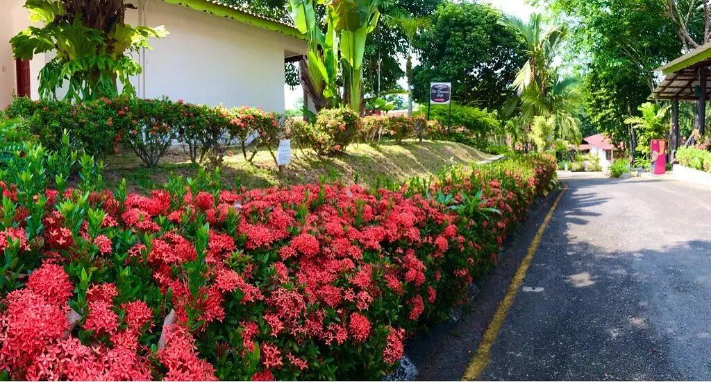 3D2N Xcape Resort Taman Negara National Park