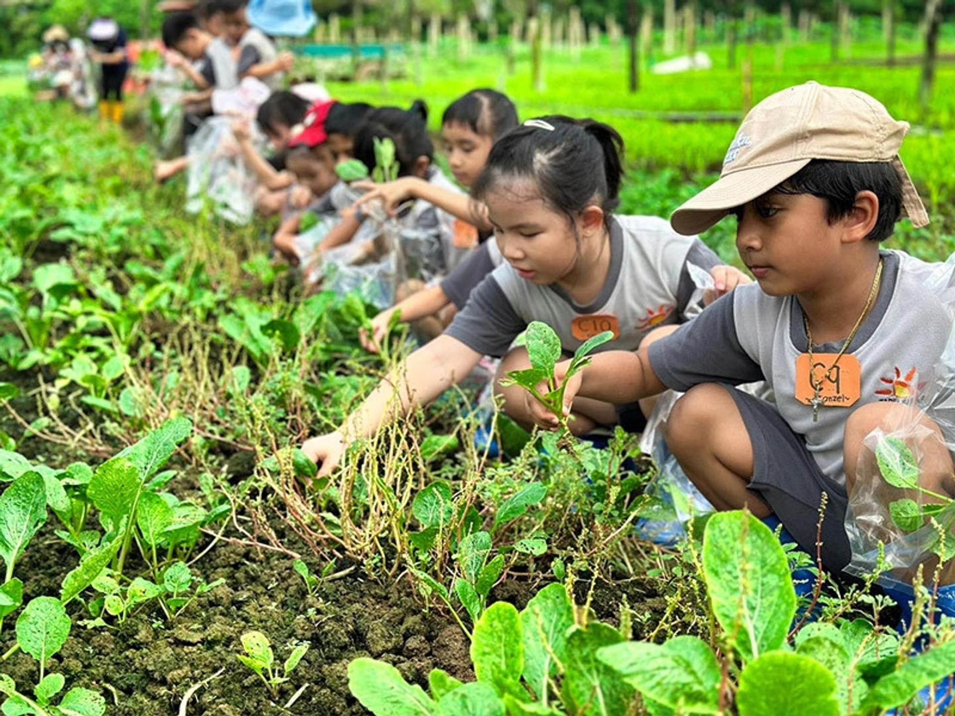 1-Day Balinese Charm + Fruits Farm Tour